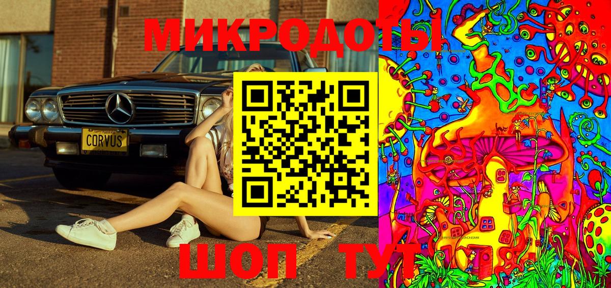 Миасс  Псилоцибиновые грибы Psilocybine cubensis  Вход с VPN 
